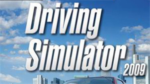 Driving Simulator 2009 Zone