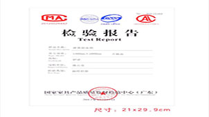 Special topic on inspection report