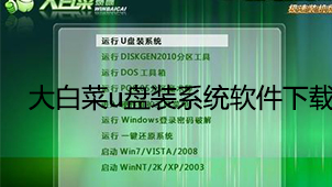 Chinese cabbage USB disk installation system software download