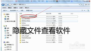 Hidden file viewing software