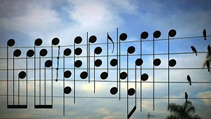 Special topic on music notation software