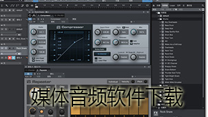 Media audio software download