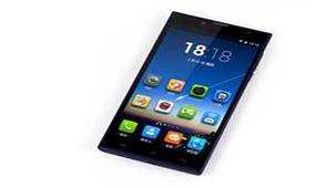 Noah's letter special topic