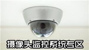 Camera surveillance system area