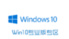 Win10 professional version area