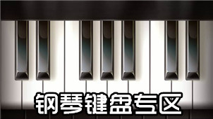 Piano keyboard area