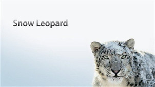 Before Snow Leopard system