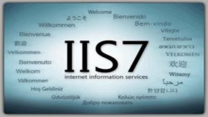 IIS configuration encyclopedia