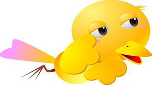 Little sparrow special topic