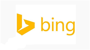 Bing input method area