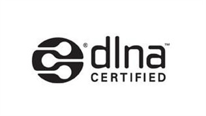 Dlna software area