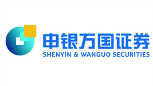 Shenyin & Wanguo Software Zone