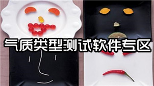 Temperament type testing software area