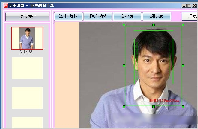 Screenshot of license cropping tool