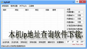 Download local IP address query software