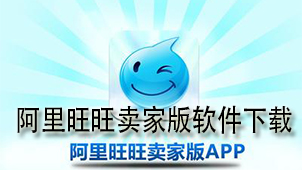 Alibaba Want Want seller version software download