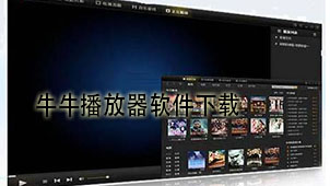 Niuniu player software download