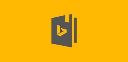 Bing dictionary encyclopedia