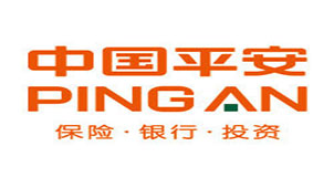 Ping An Auto Insurance Topics