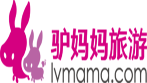 Donkey Mom Special Topic