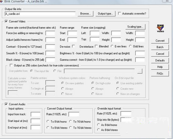 bik format converter