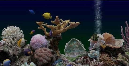 Dynamic screensaver screenshot