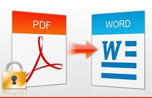 Kobayashi PDF to WORD converter