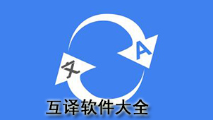 Comprehensive translation software