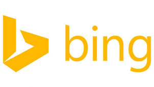 Bing search engine area