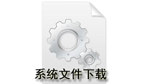 System file download