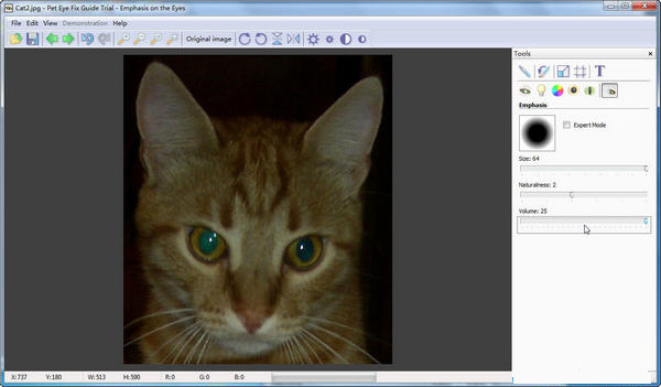 Photo red eye processing software PetEye screenshot