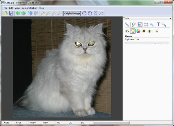 Photo red eye processing software PetEye screenshot