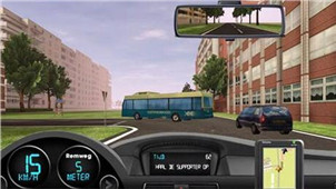 Simulated Driving Life Zone