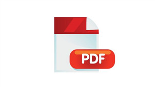 PDF viewer area