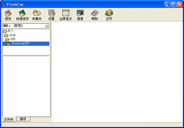 Web FlashSWF downloader FlashCap screenshot