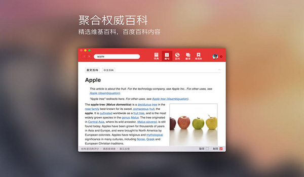 Screenshot of Youdao Dictionary For Mac