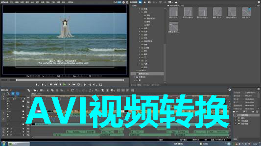 AVI video conversion encyclopedia