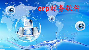 ERP financial software topics