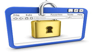 Special topic on document security software