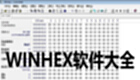 Winhex software