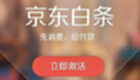 Jingdong Baitiao Special Topic