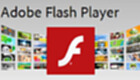 Flash plug -in topic