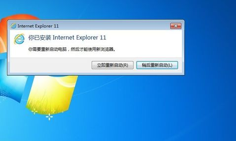 IE11 (Internet Explorer 11) screenshot