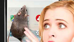 Rat on screen software special topic