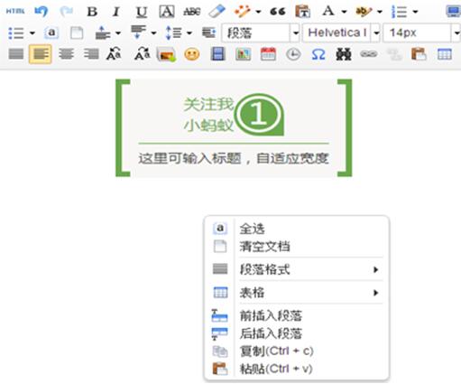 Screenshot of Little Ant WeChat Editor