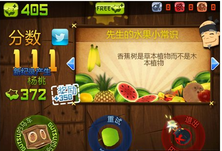 Fruit Ninja