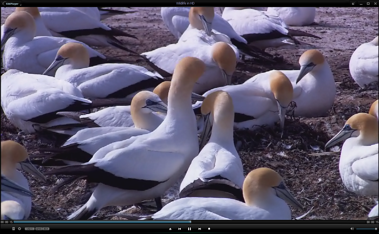 KMPlayer Plus screenshots