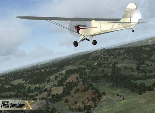 How about Microsoft Flight Simulator X?