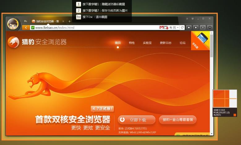 Cheetah browser screenshot