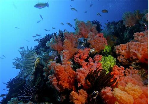 Dynamic screensaver screenshot